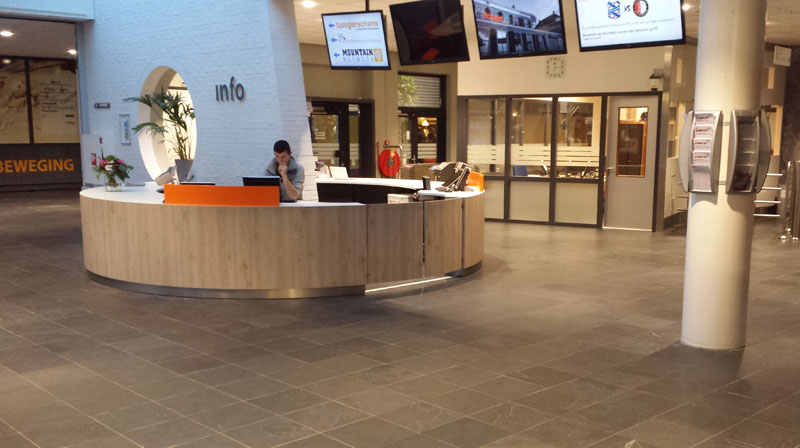 DICTATOR HAWGOOD Typ 4500 an einer Pendeltür im Foyer